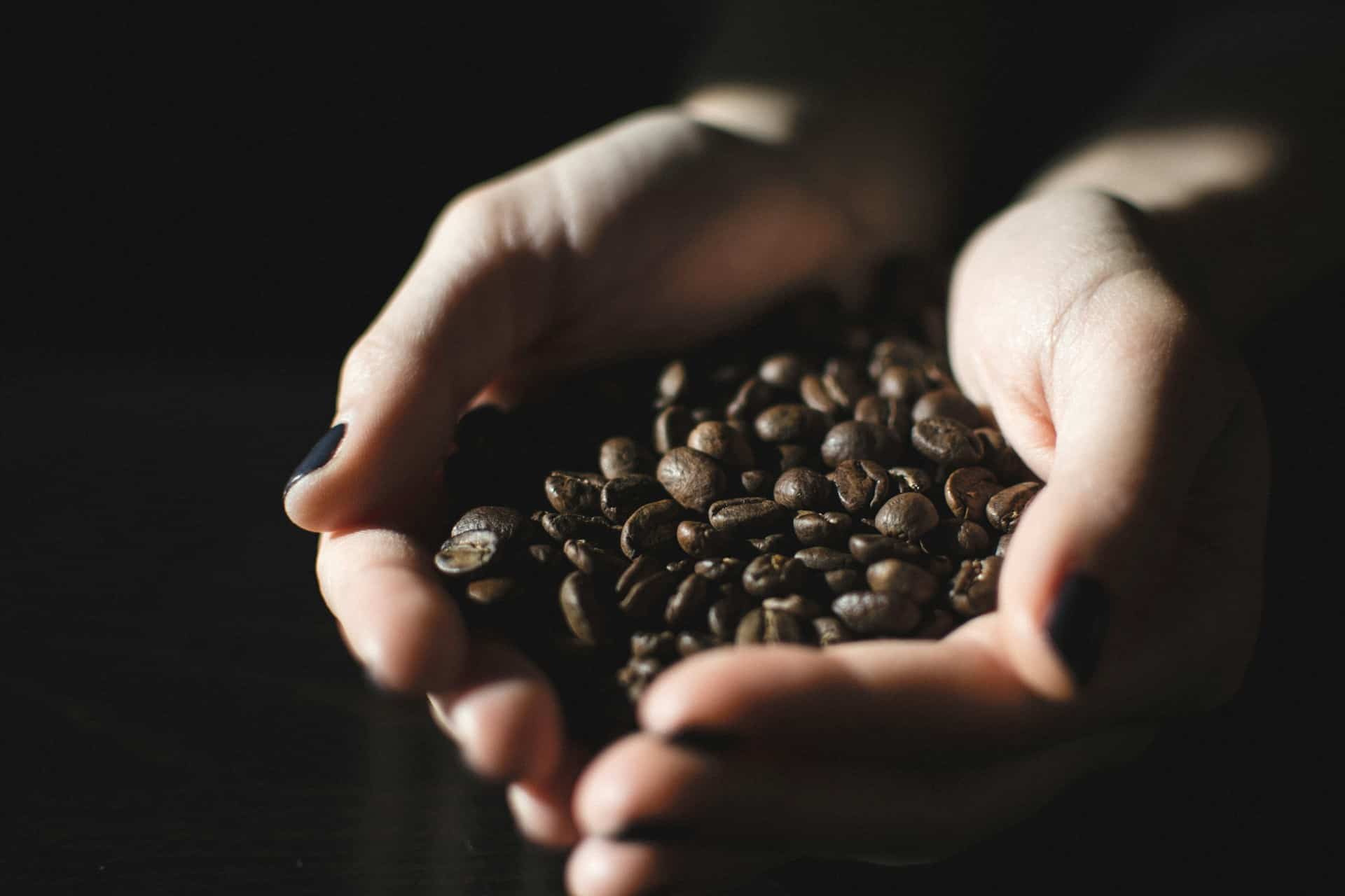 best coffee in surry hills