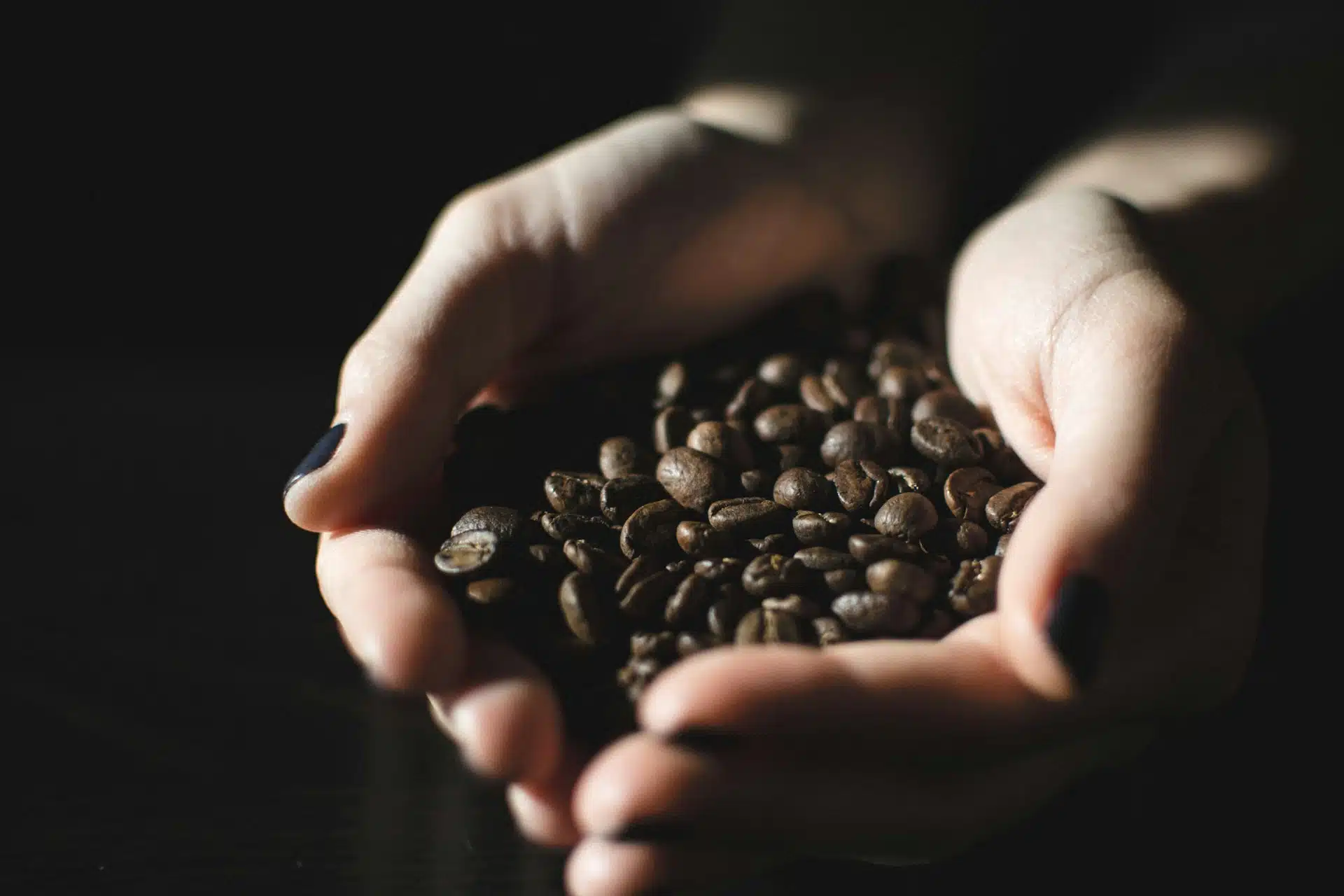 best coffee in surry hills
